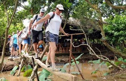 Du lịch sinh thái Tiền Giang hấp dẫn du khách 